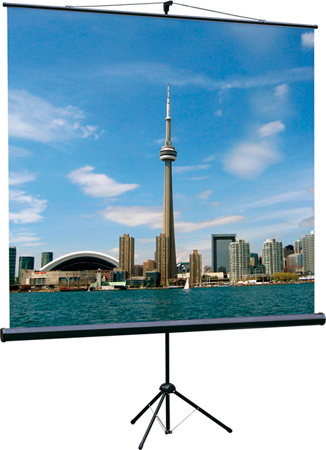 Экран Lumien Eco View 1:1, 160x160 см (LEV-100105), разные размеры